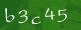capcha