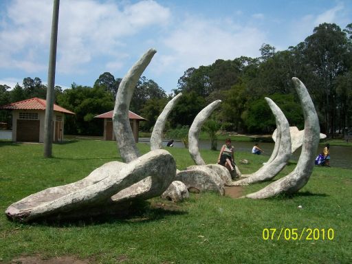 Calatorie in Costa Rica