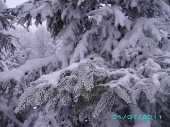 Hai hui prin Maramures (2)