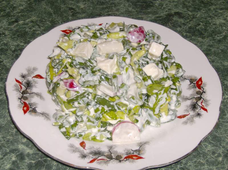 Salata de primavara