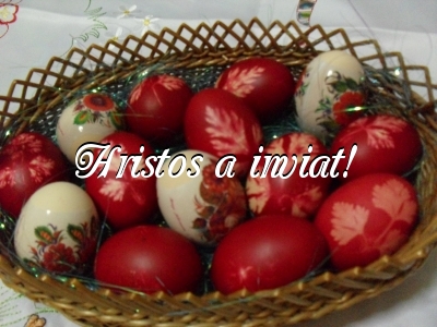 Vin udatorii!