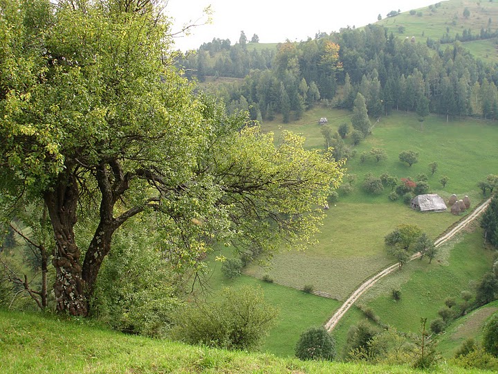 Sat Magura, o zona virgina