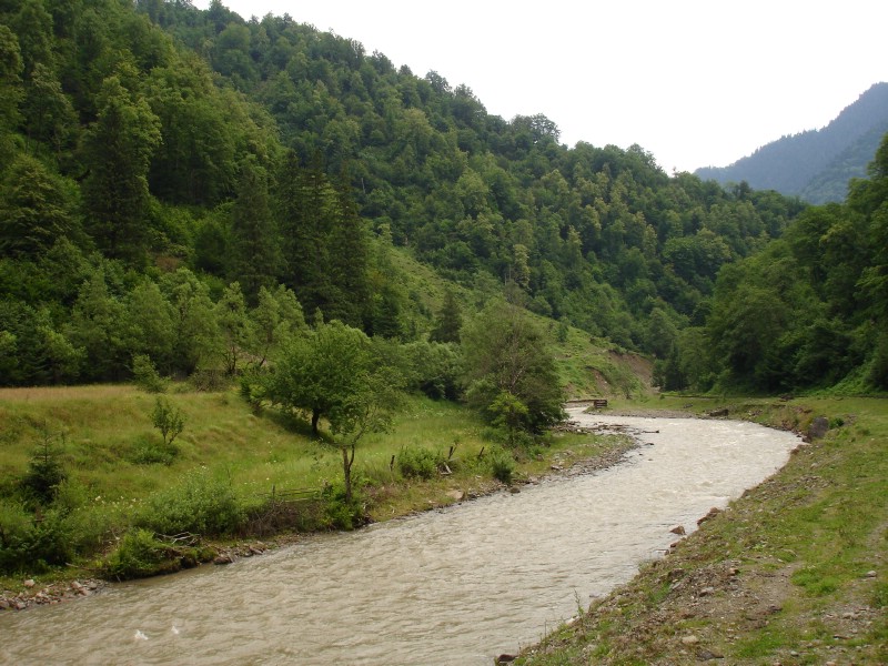 Cu mocanita pe Valea Vaserului