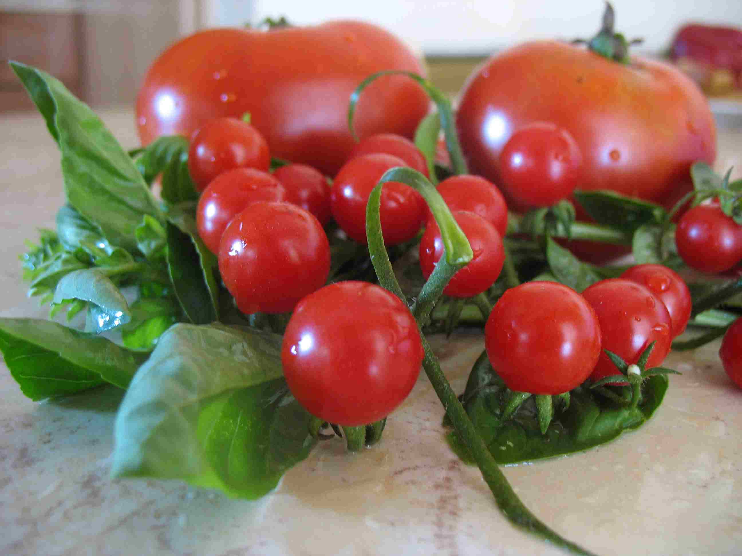 Bruschetta