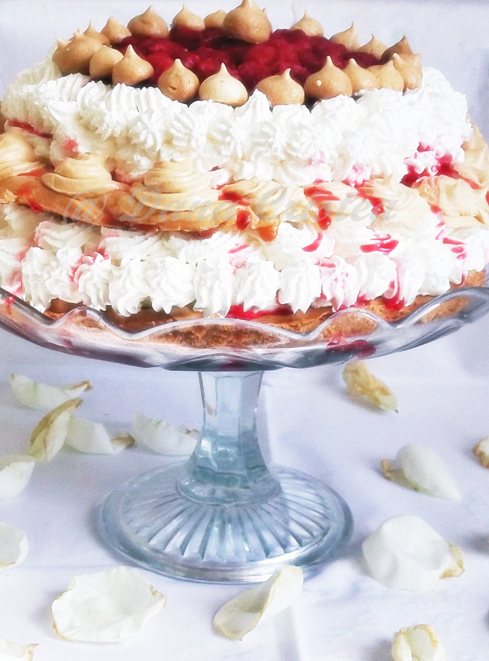 Pavlova cu crema de vanilie si zmeura