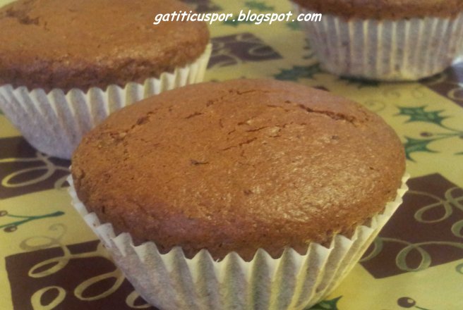 Chocolate Muffins