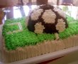 Tort teren de fotbal-1