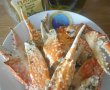 Crab la cuptor-4