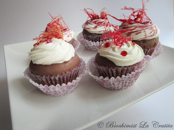 Cupcakes cu vin