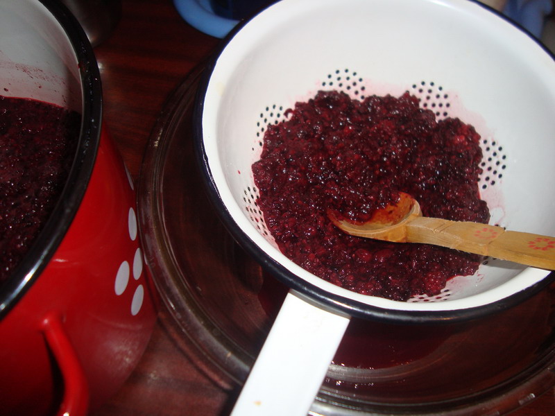 Sirop de mure