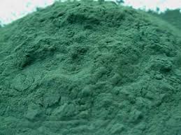 Spirulina - un aliment minune