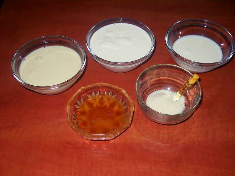 Felie de lapte(Milch Schnitte)