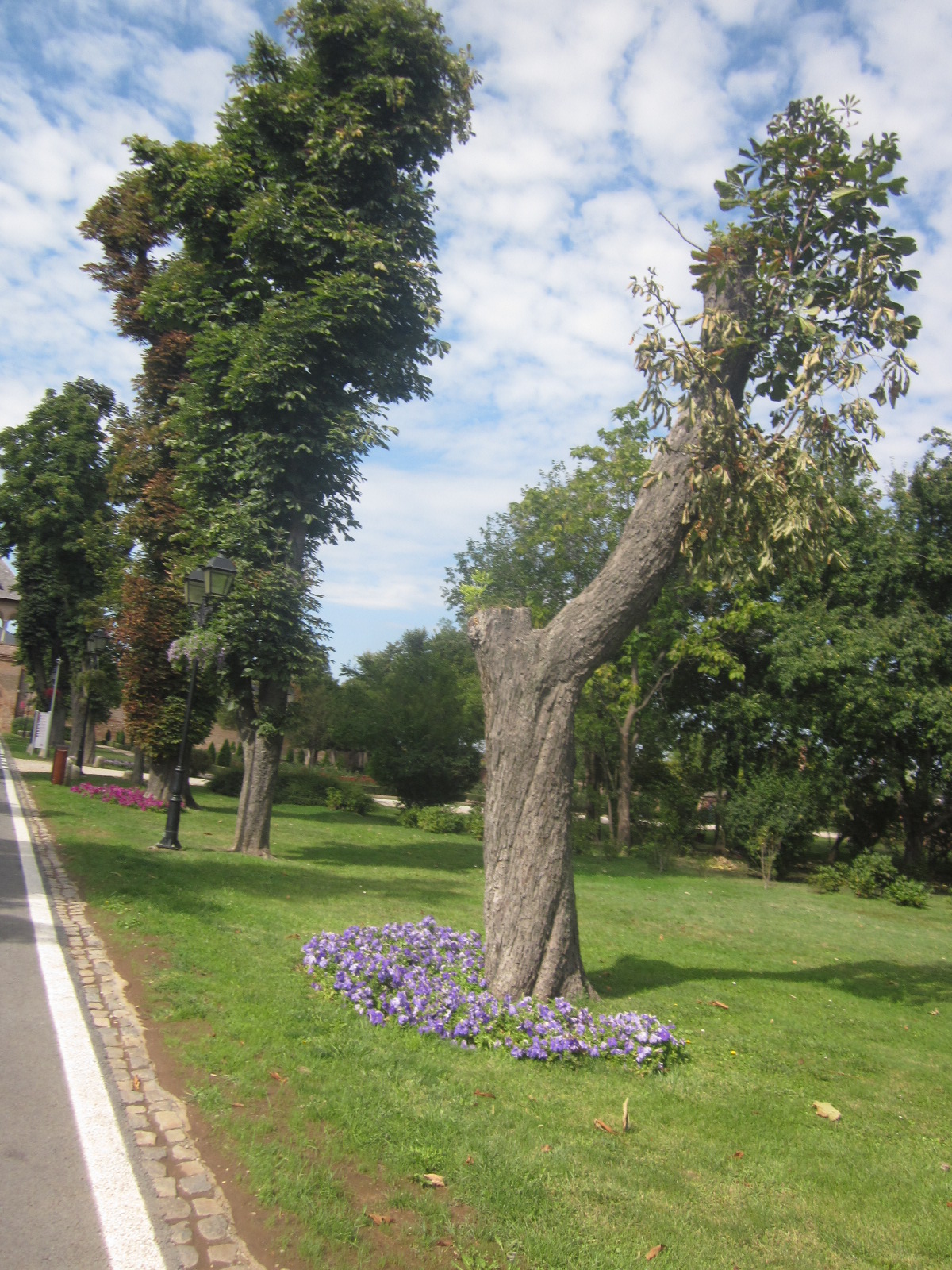 Palatul Mogoșoaia și Palatul Știrbey, 55 de km față de București