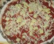 Pizza cu branza-11