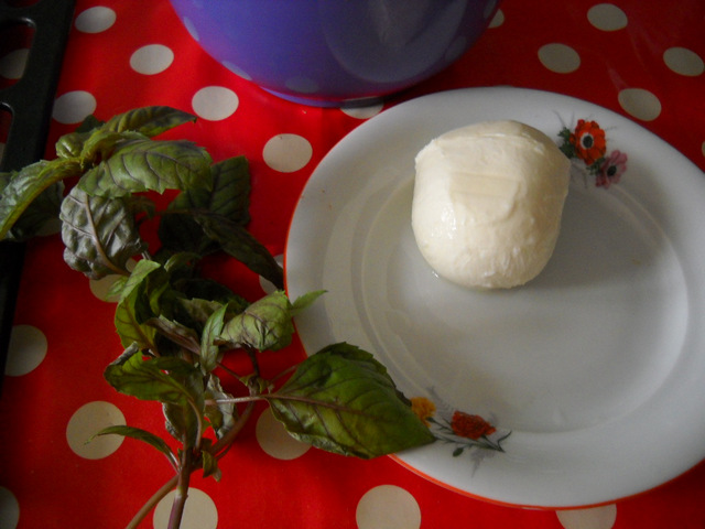 Minitarte cu mozzarella si cherry