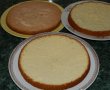 Tort cu crema de vanilie-15