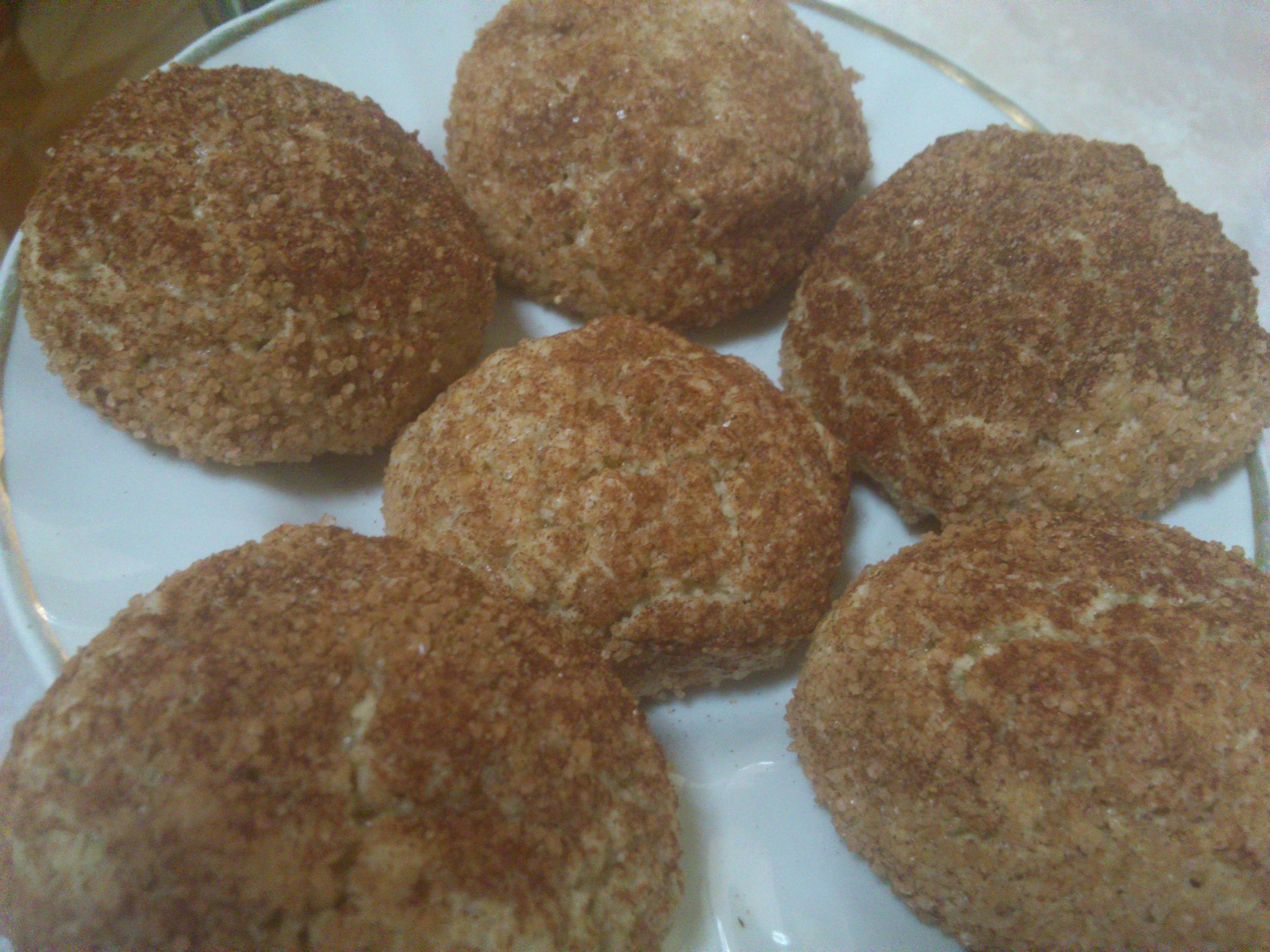 Fursecuri din ovaz Snickerdoodles