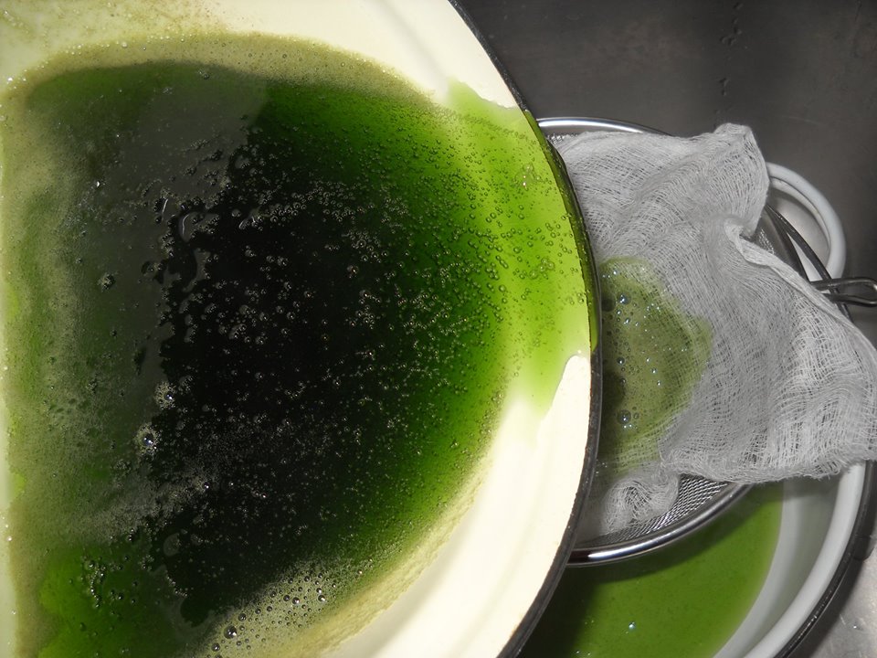 Sirop de menta