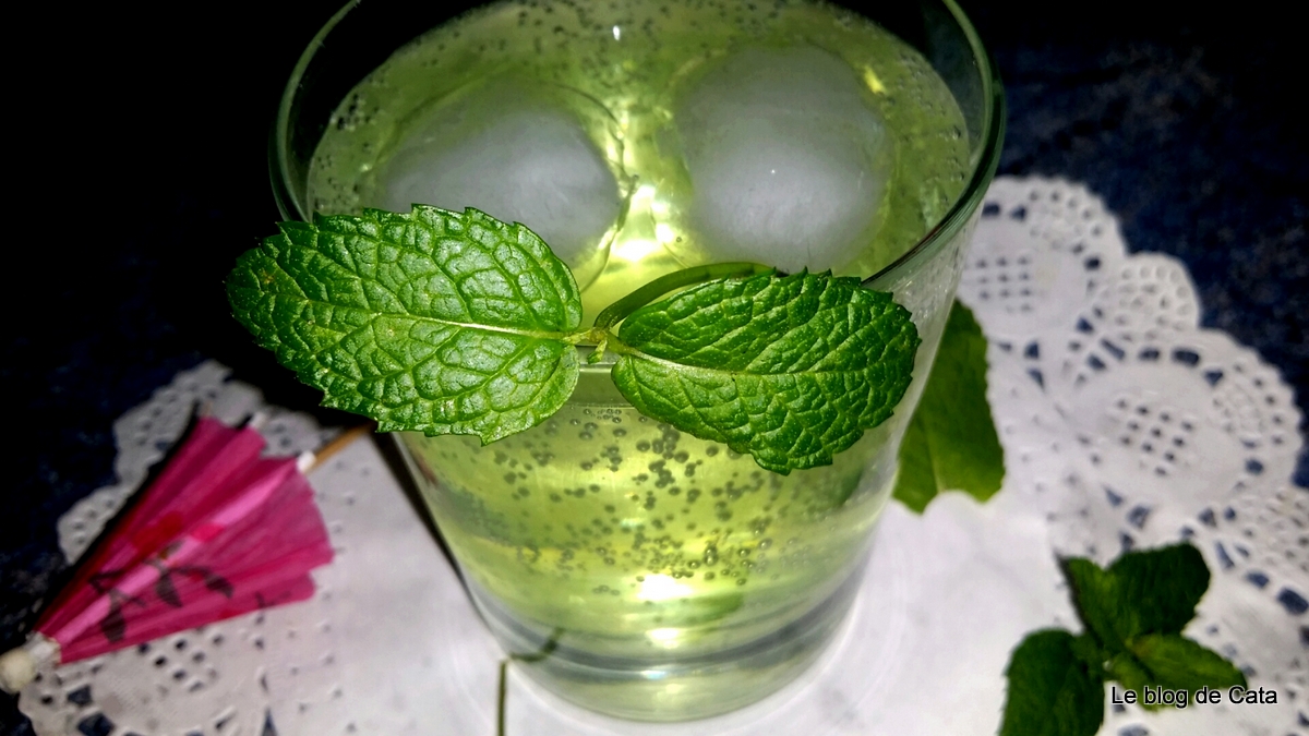 Sirop de menta de casa