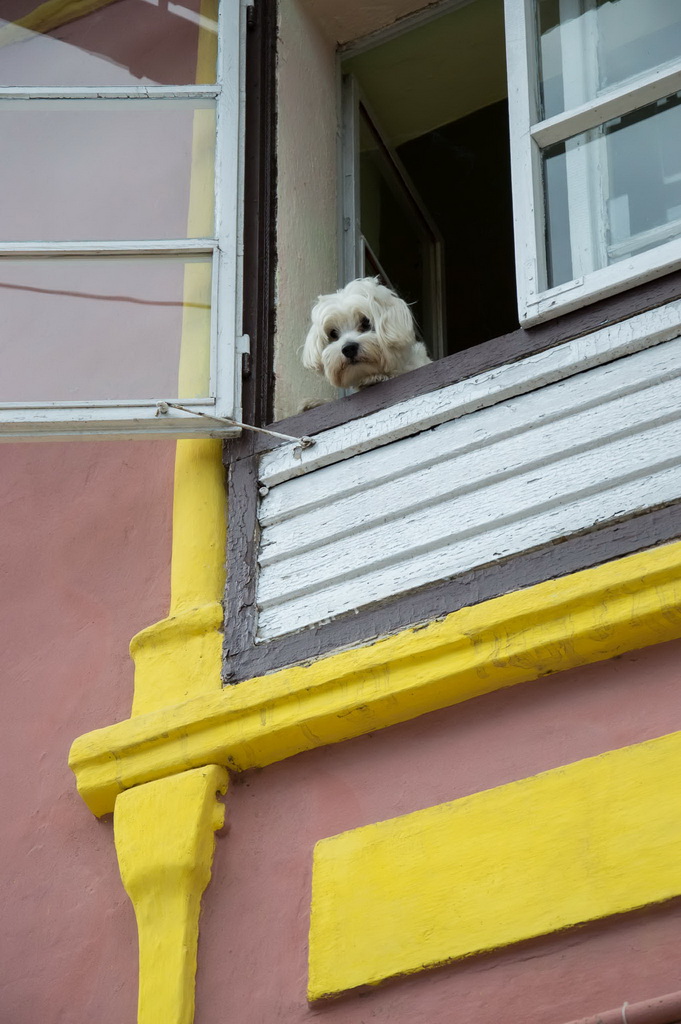 Intalnirea bucatarasilor - Sighisoara 2015