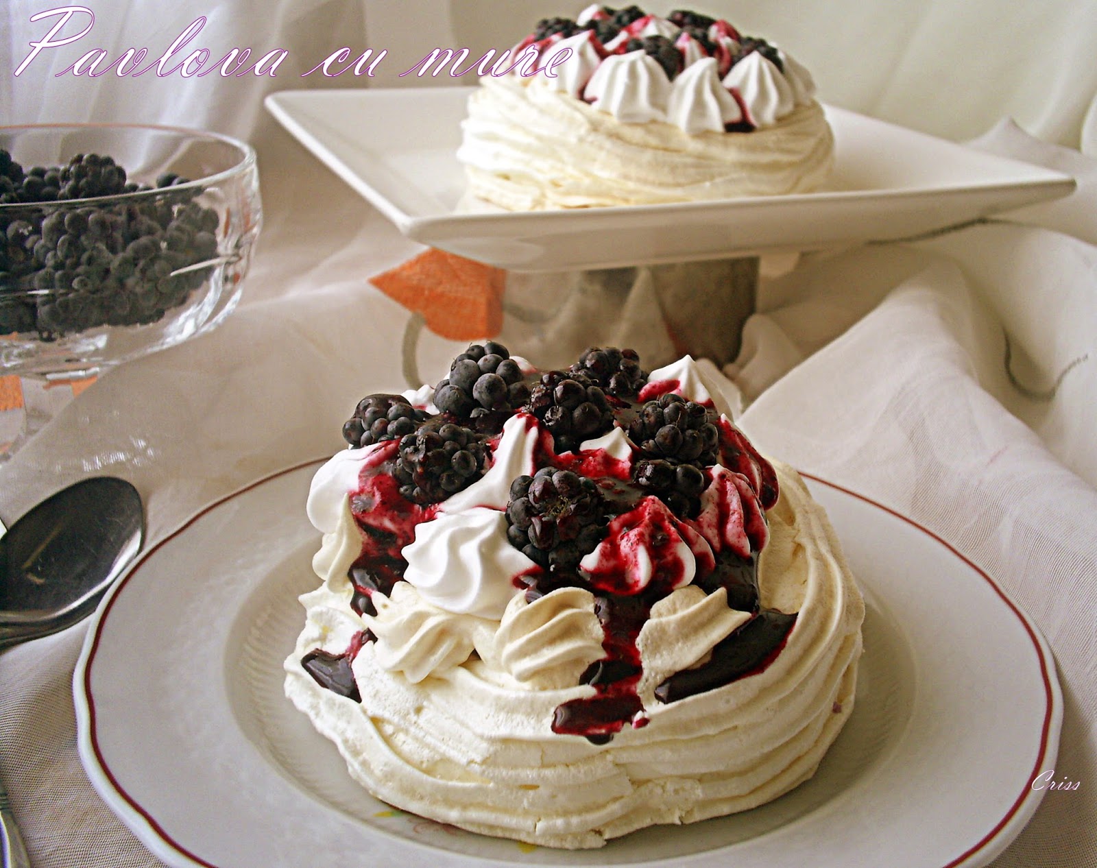 Pavlova cu mure