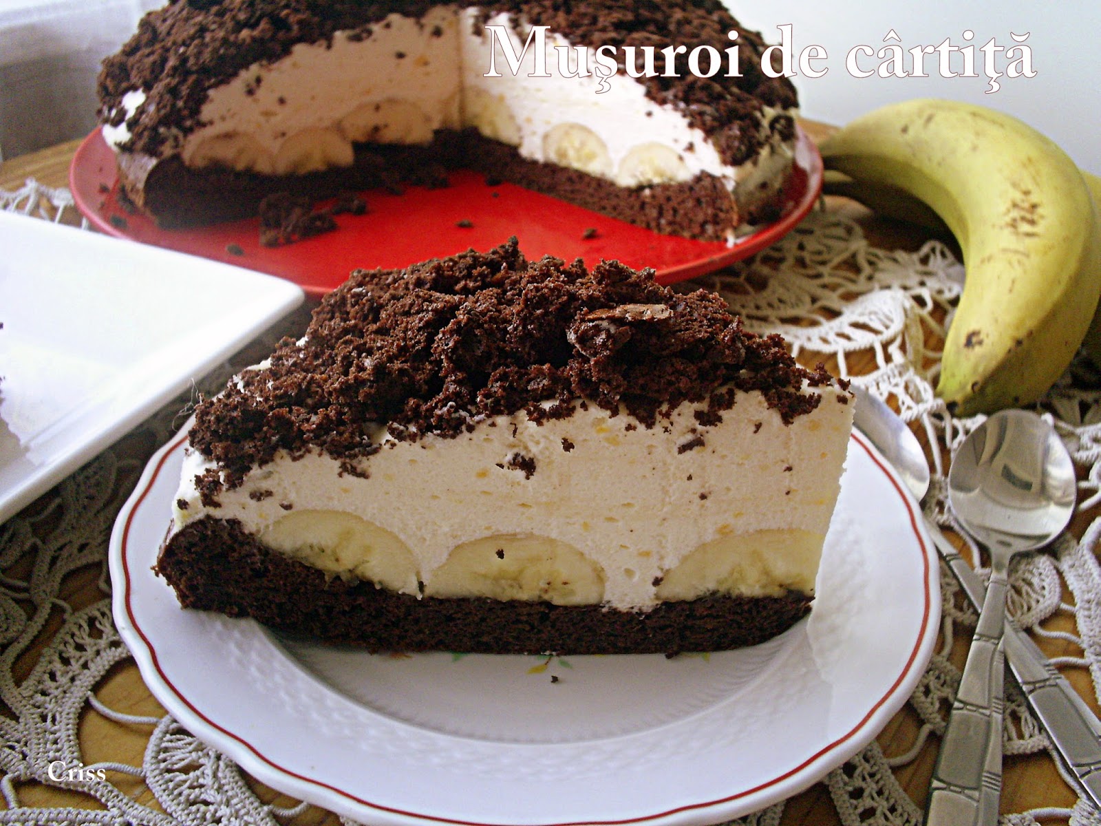 Desert tort musuroi de cartita