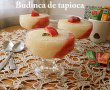 Budinca de tapioca-2