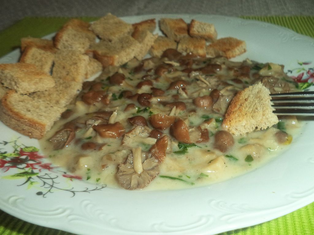 Ciulama de pleurotus cu bureti de roua