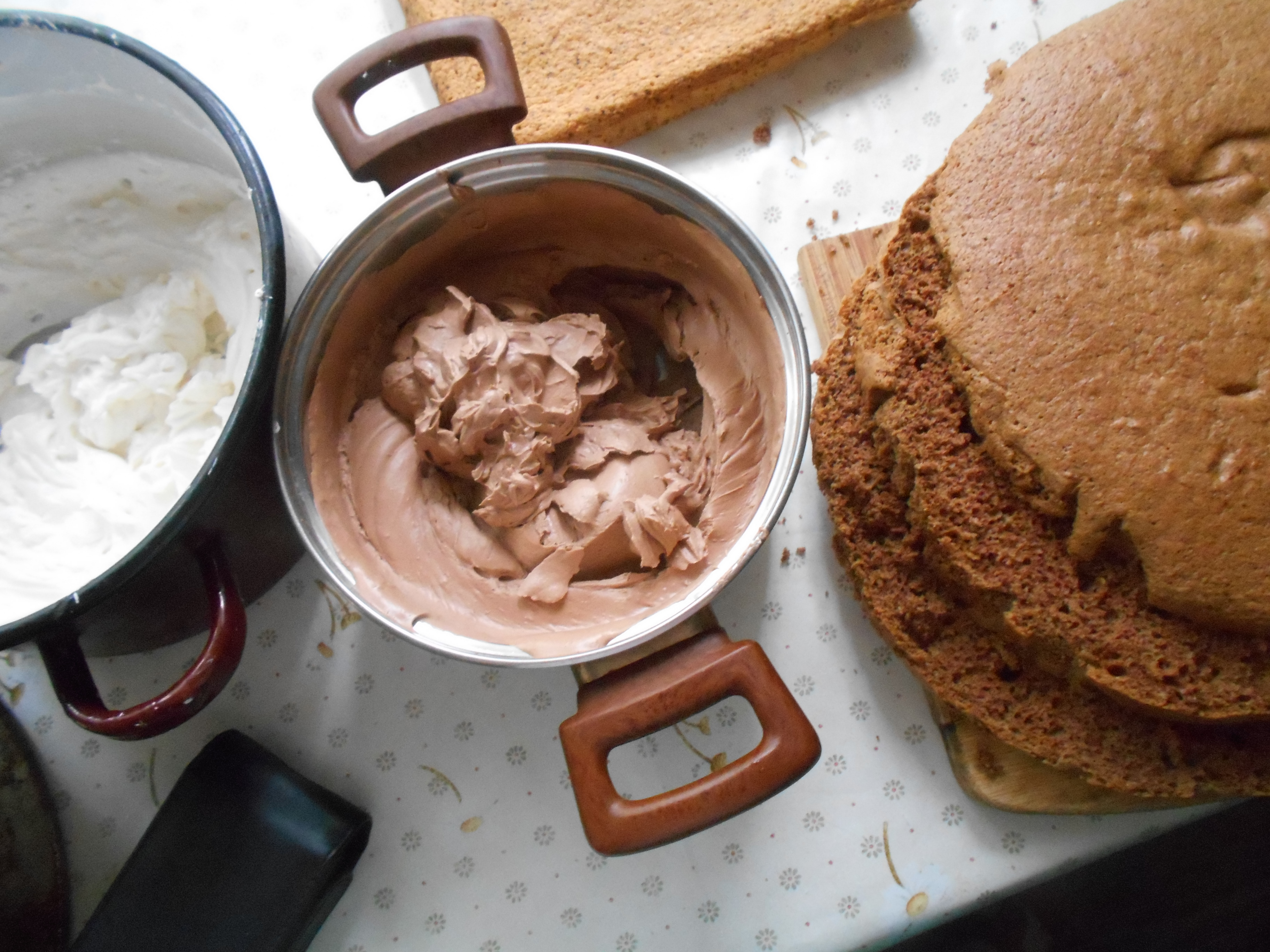 Tort cu ciocolata si mascarpone