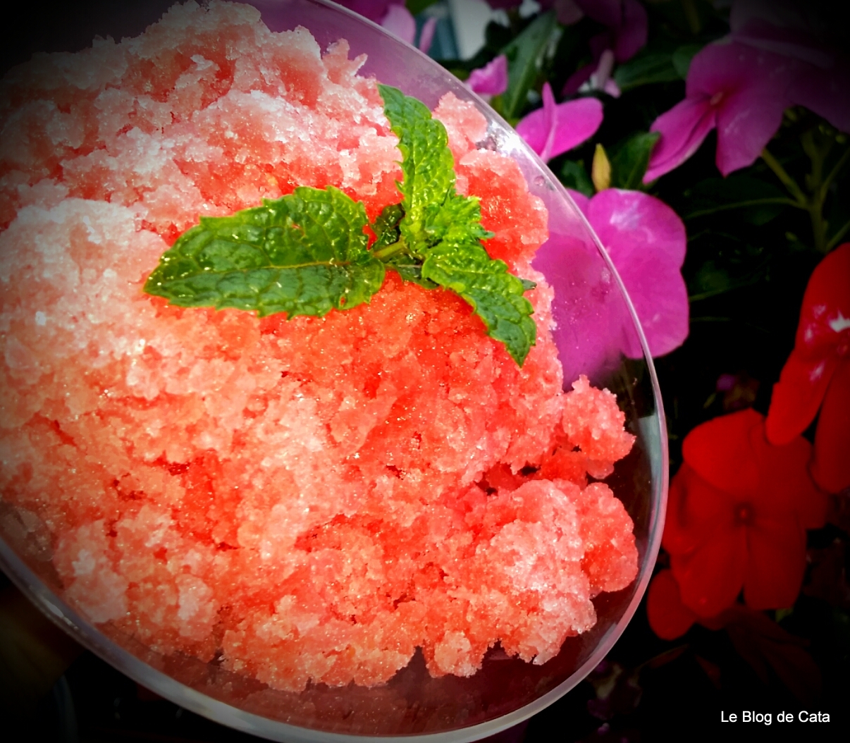 Granita de pepene verde si  menta