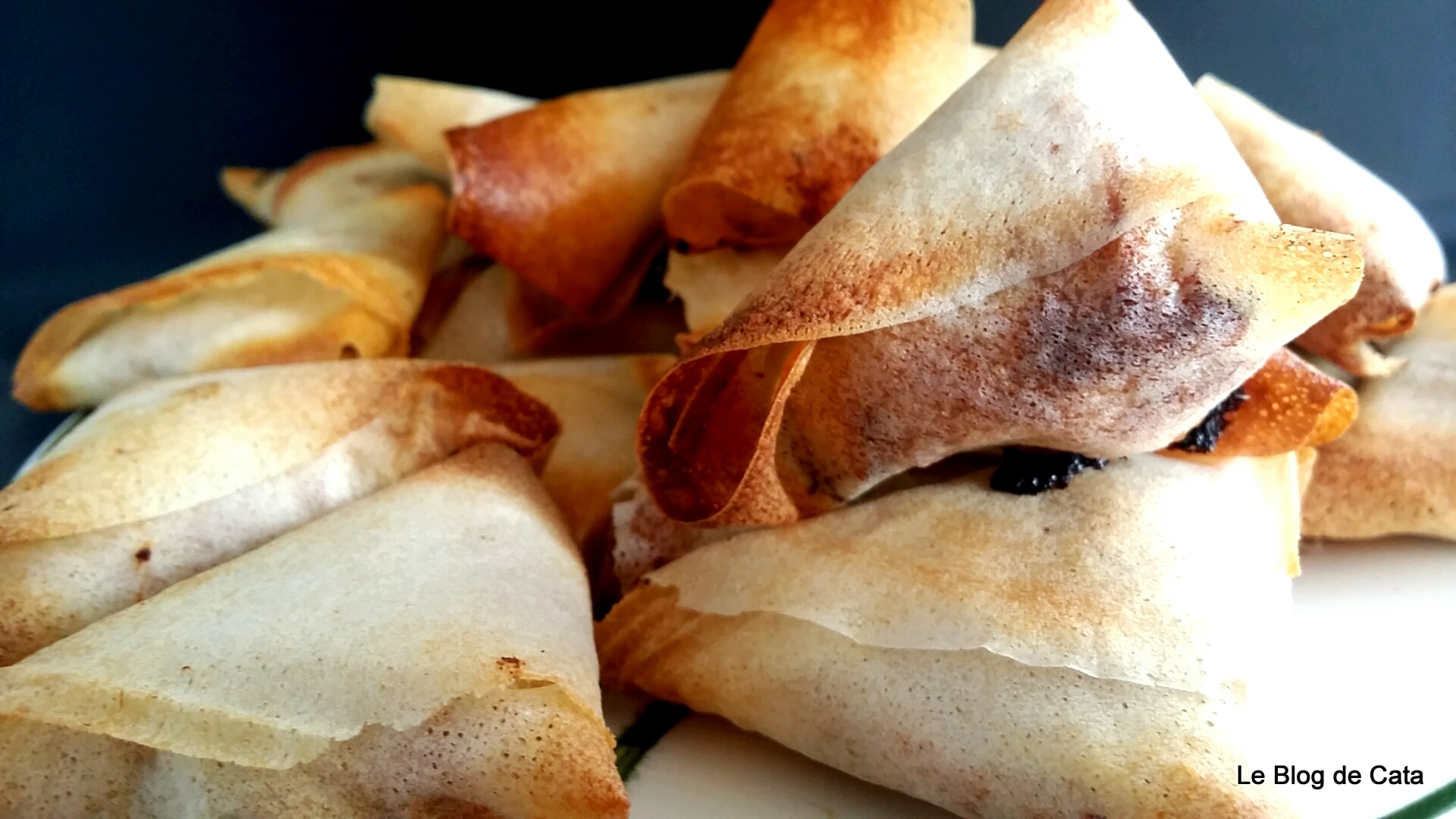 Mini Samosa cu cartof, ton si ricotta