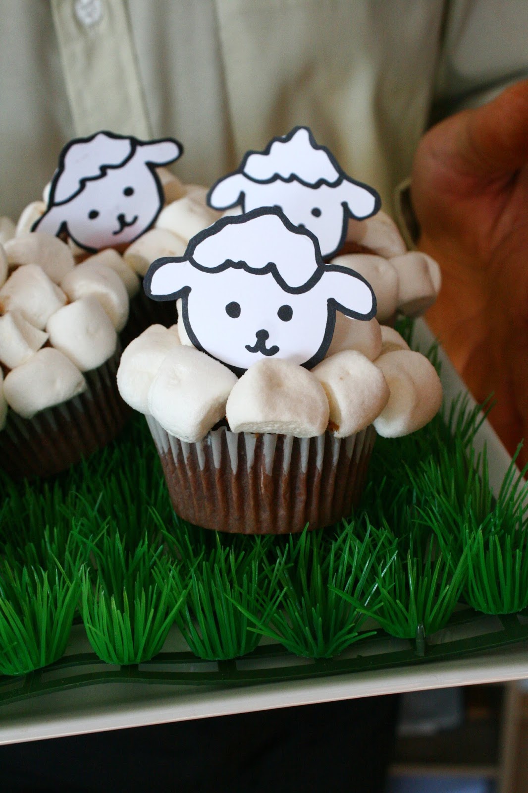 Lamb cupcakes