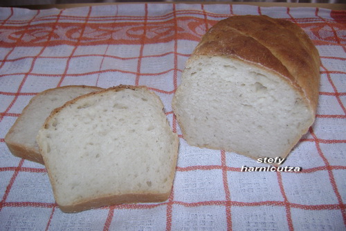 Paine de casa cu iaurt