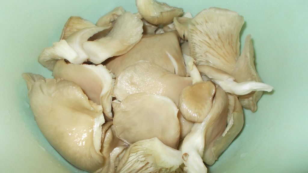 Snitele din pleurotus in fulgi de mei cu sos de rosii si cartofi natur