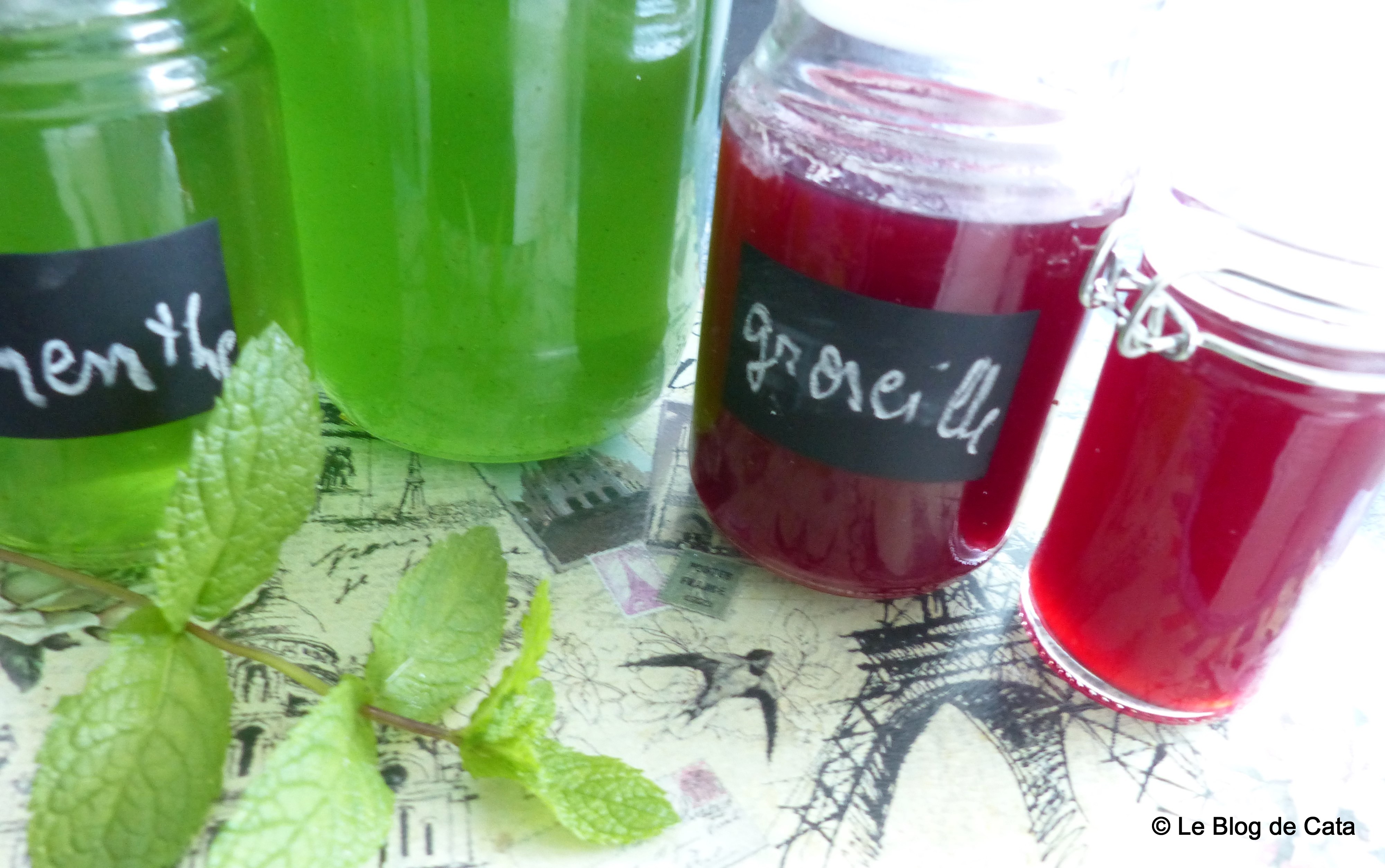 Sirop de coacaze rosii