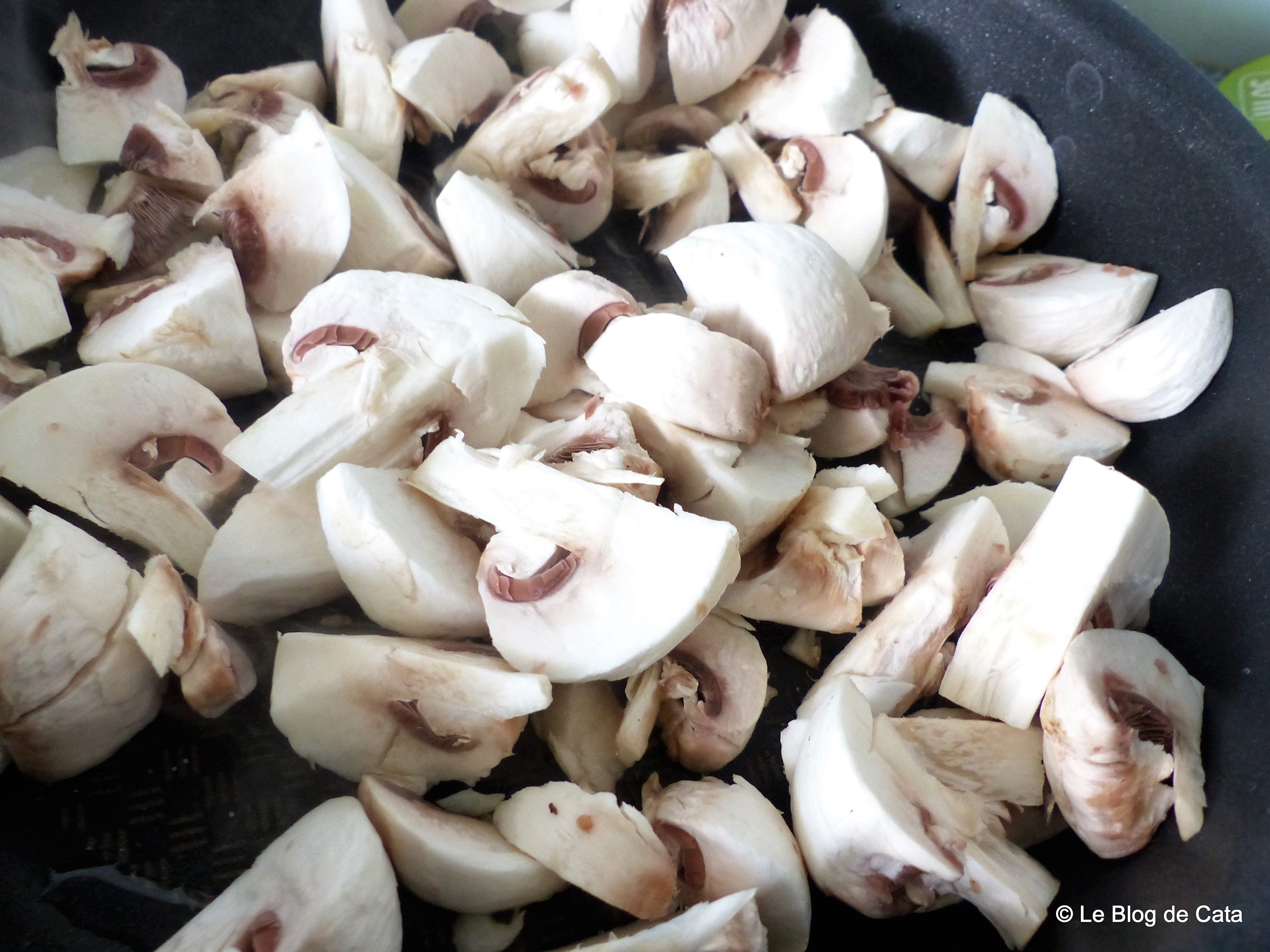 Paste Fettuccini cu curcan, smantana si ciuperci