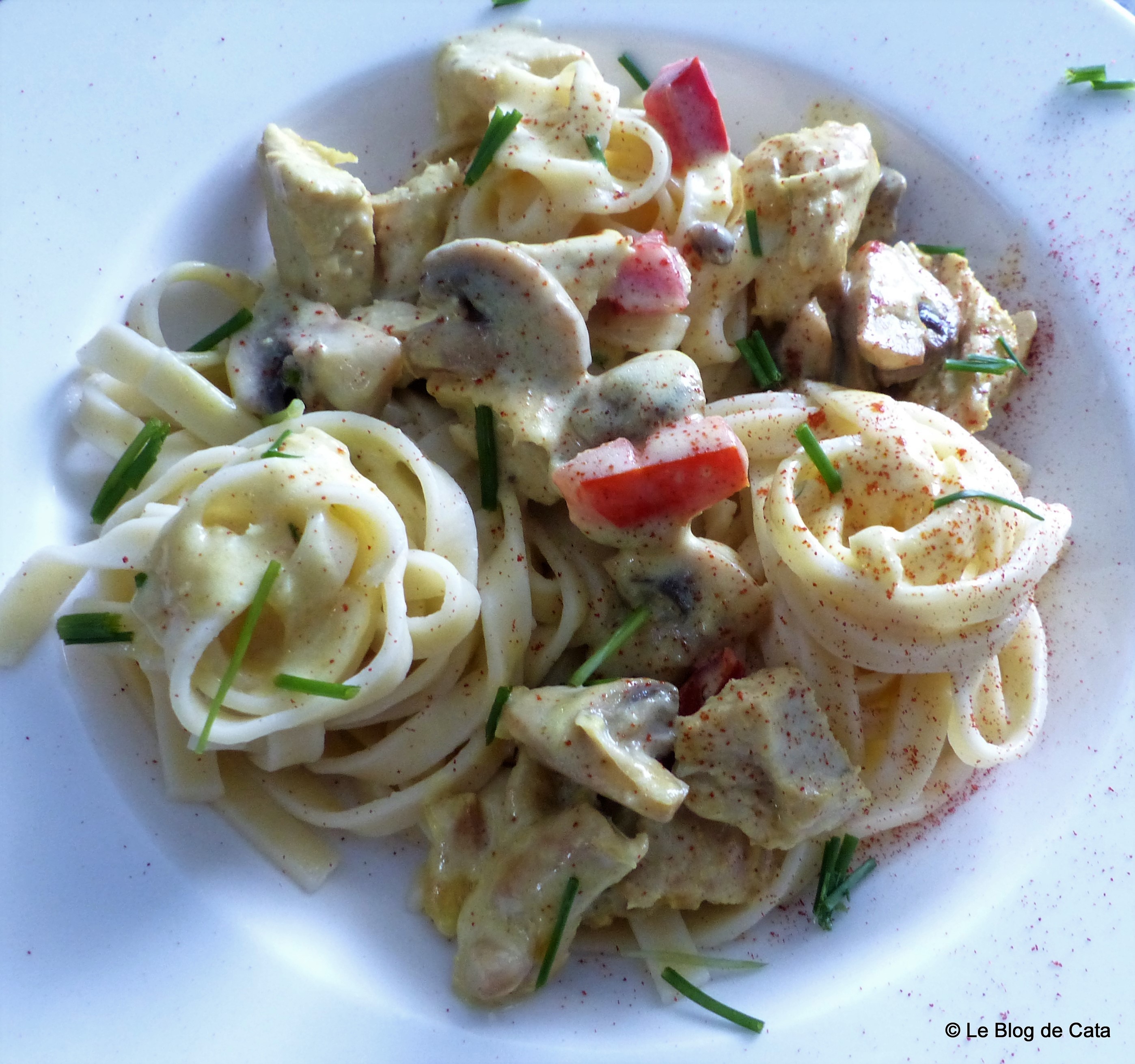 Paste Fettuccini cu curcan, smantana si ciuperci