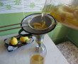 Limoncello-8