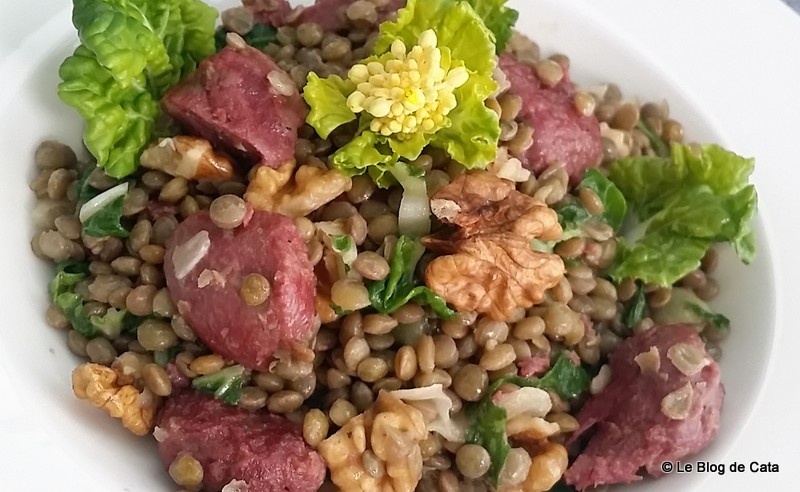 Salata de linte, pipote de rata confiate si varza pak choy