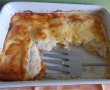 Gratin de piept de pui-14