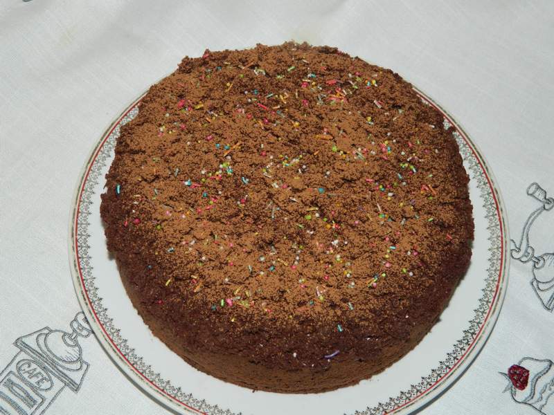 Desert tort musuroi de cartita