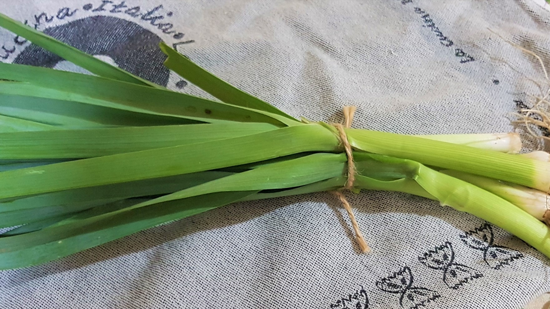 Tagliatelle cu piept de curcan