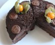 Desert tort Sacher-23