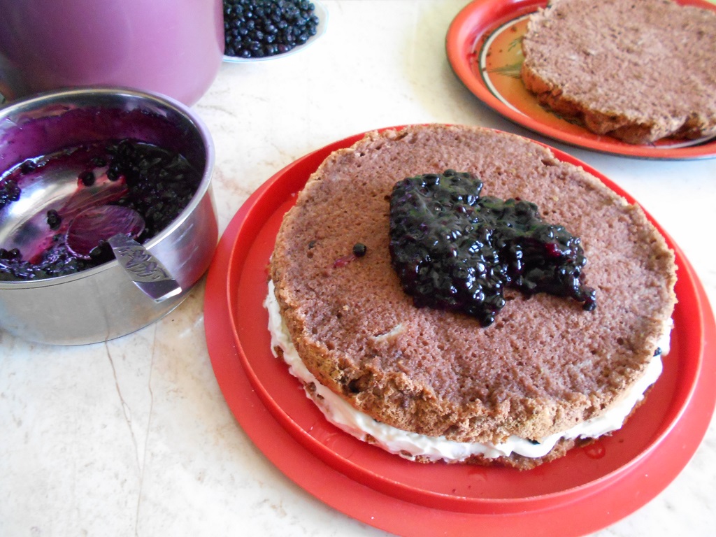 Tort cu crema de mascarpone si jeleu de afine - 3 ani de bucataras