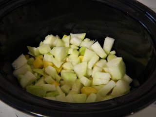 Supa crema de gulii cu praz si cartofi la slow cooker Crock Pot