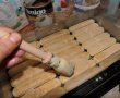 Prajitura cu ness si jeleu de caise - Reteta aromata si delicioasa-4
