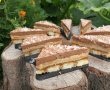 Prajitura cu ness si jeleu de caise - Reteta aromata si delicioasa-27