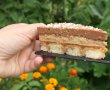Prajitura cu ness si jeleu de caise - Reteta aromata si delicioasa-29