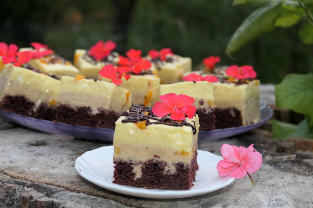 Prajitura cu mango si pralina cu alune de padure