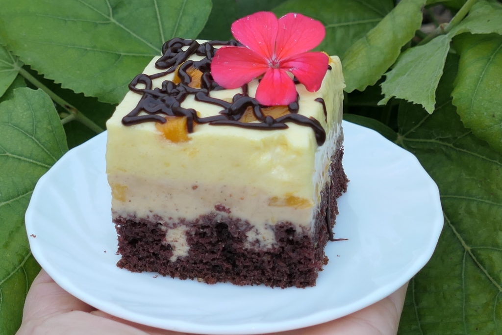 Prajitura cu mango si pralina cu alune de padure - Reteta delicioasa de casa